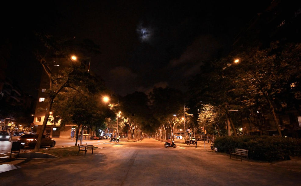 Stadt bei Nacht mit Straße und Bäumen in Allee-Form